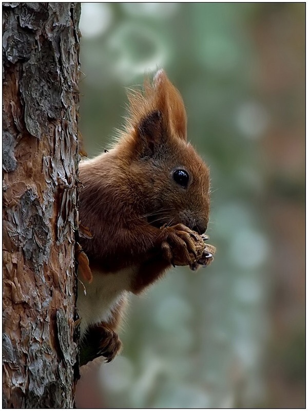 0005.jpg